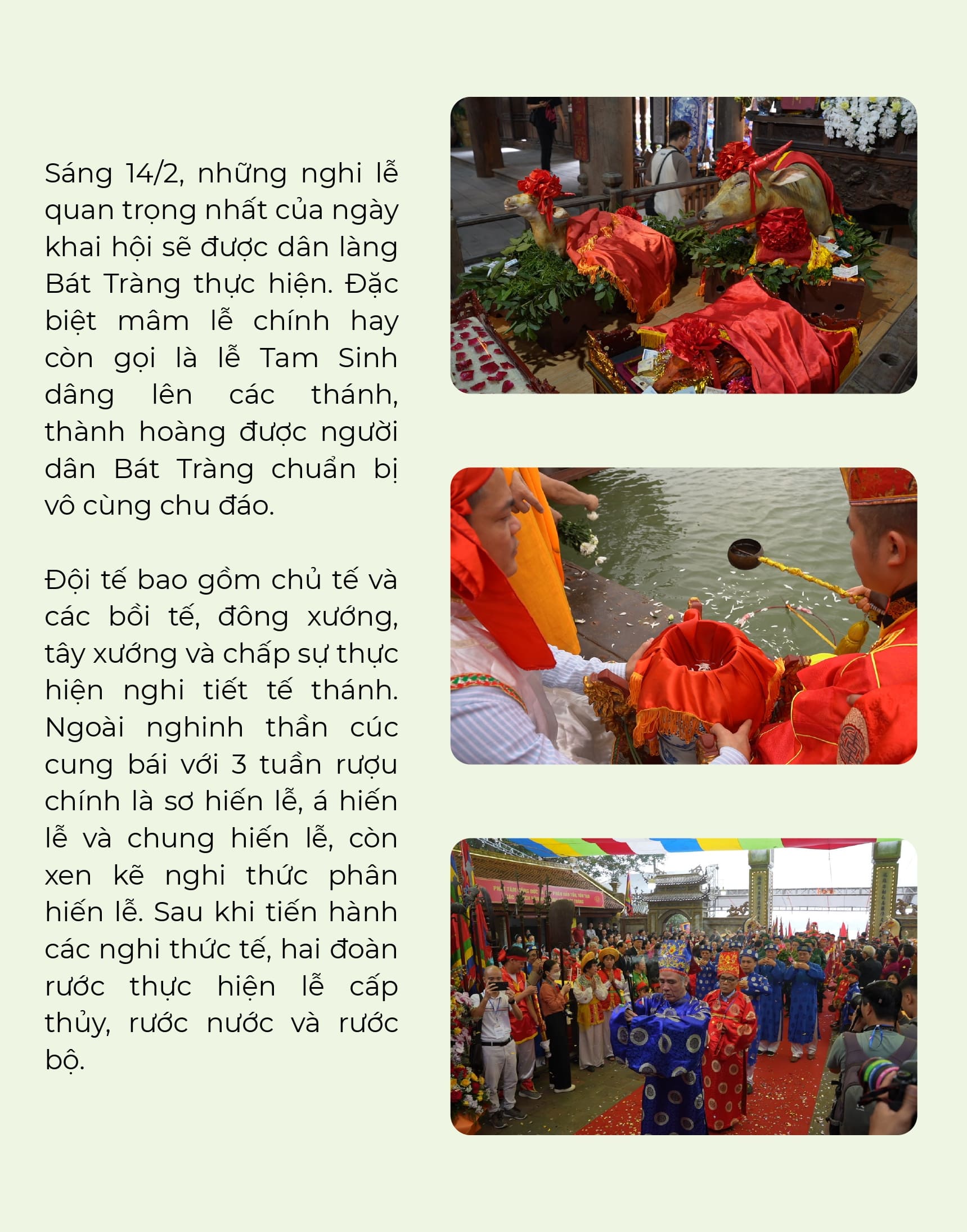 bat-trang_file-thiet-ke_page-0005