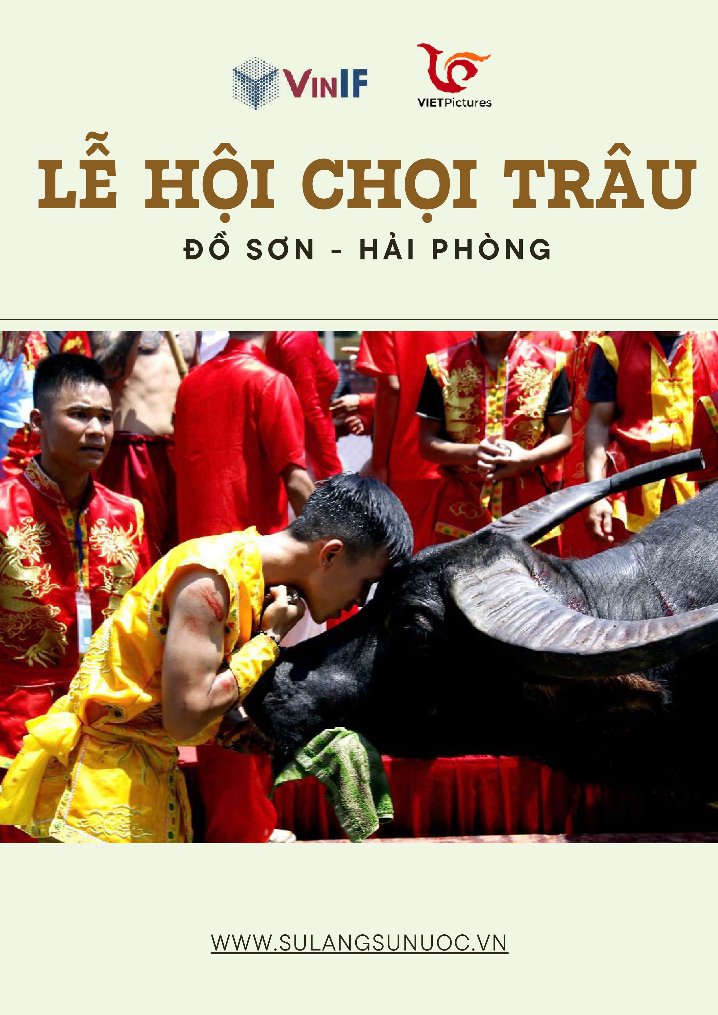 choi-trau-anh--text-da-nen-hinh-anh-0