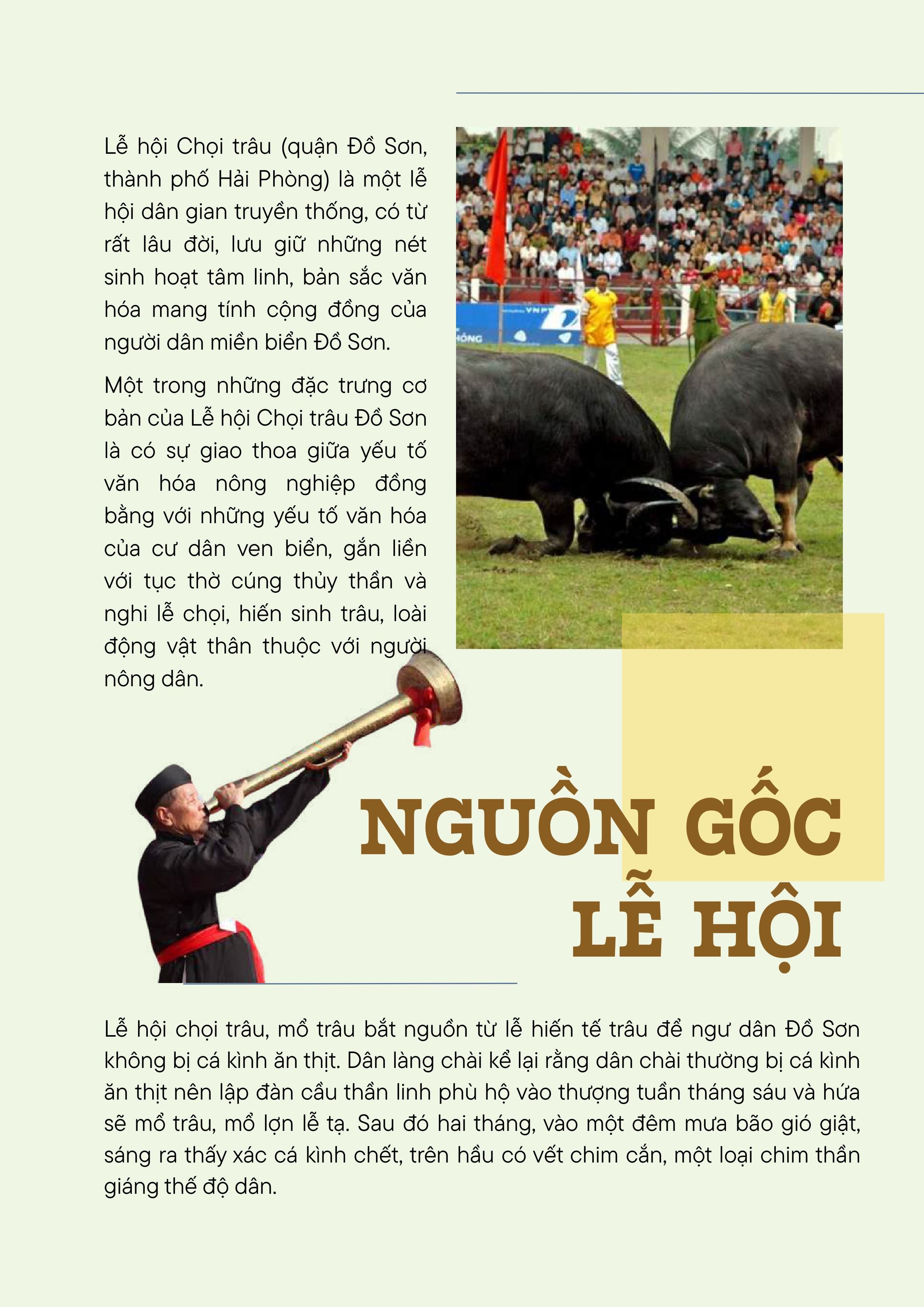 choi-trau-anh--text-da-nen-hinh-anh-1