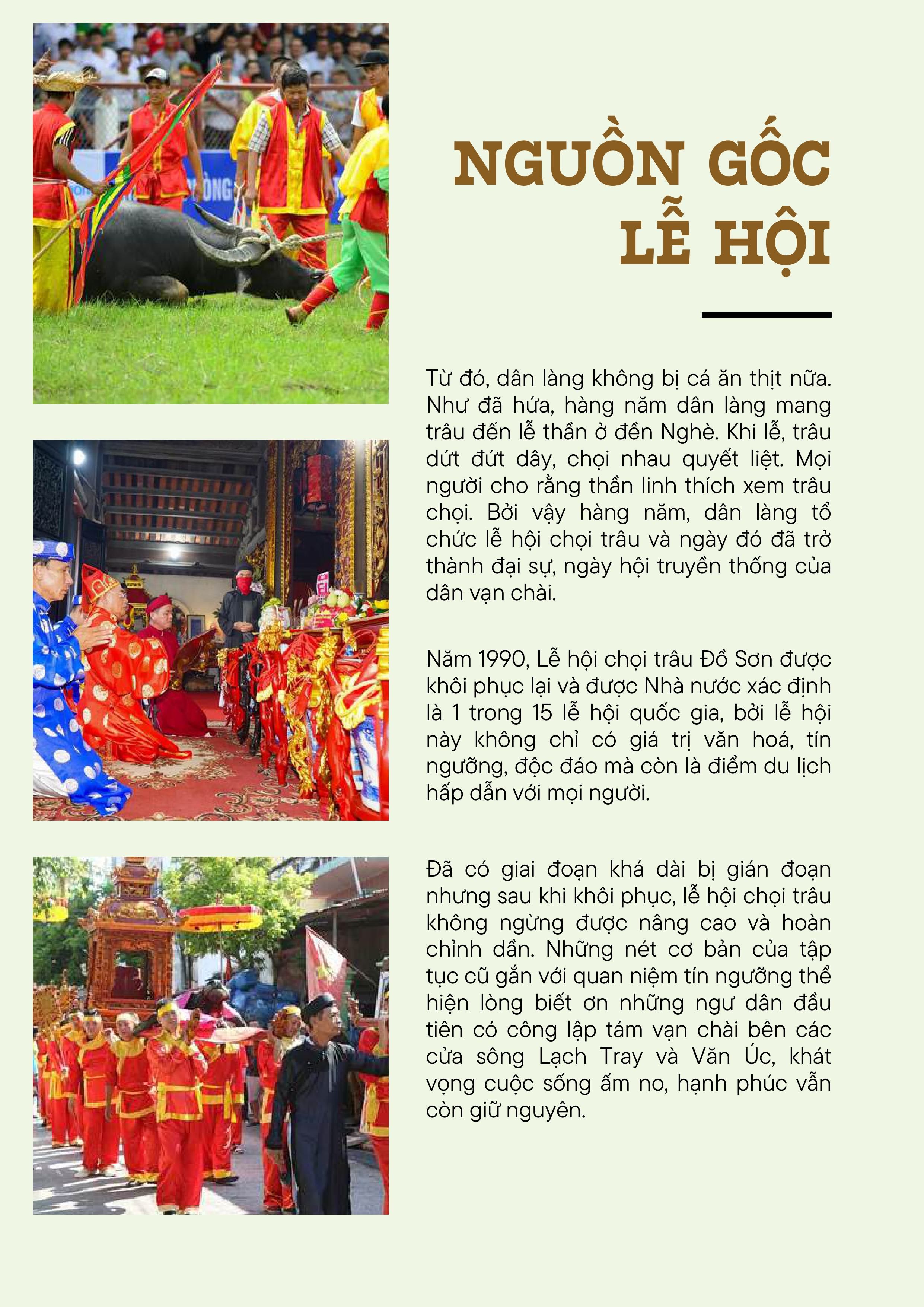choi-trau-anh--text-da-nen-hinh-anh-2