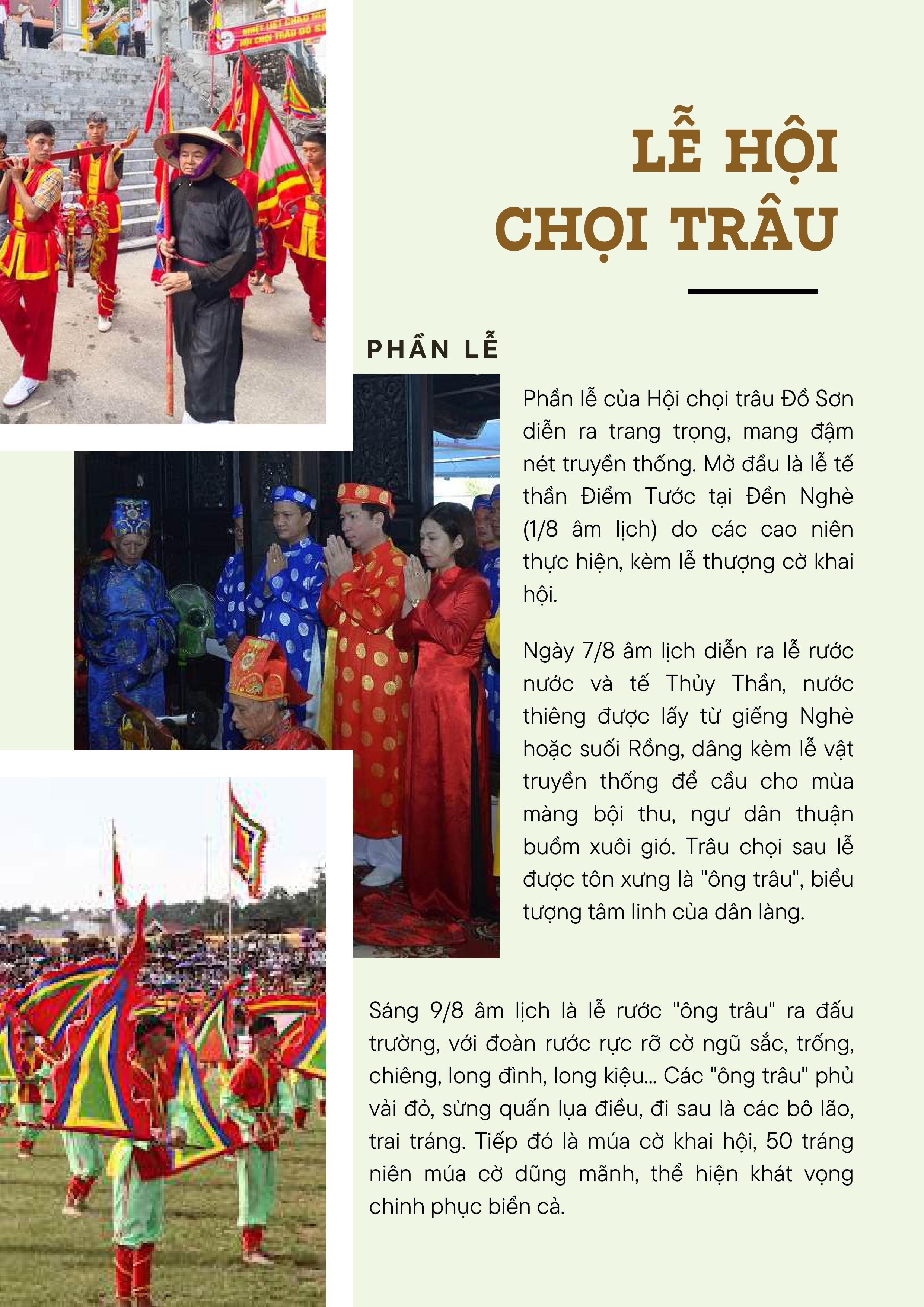 choi-trau-anh--text-da-nen-hinh-anh-4