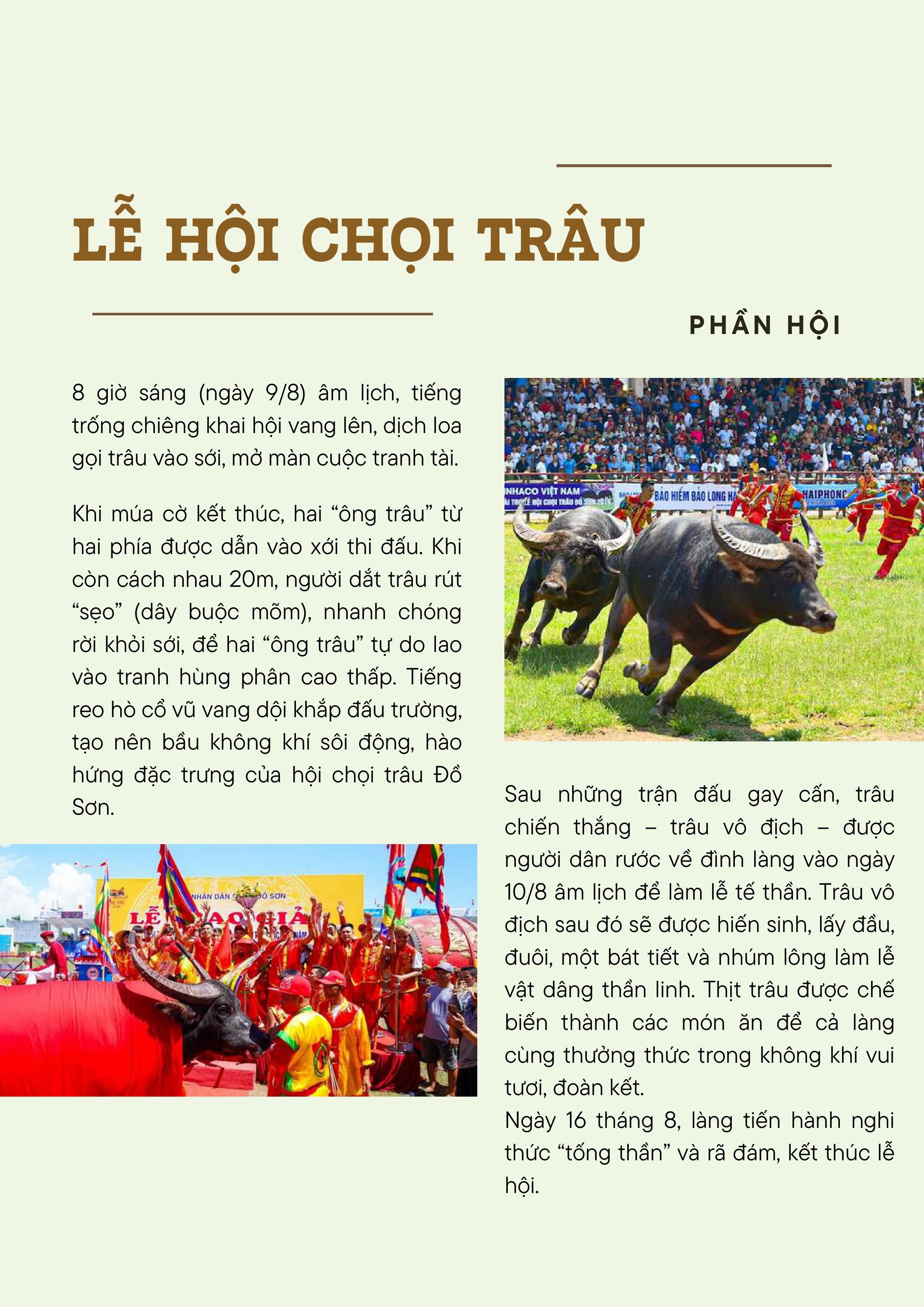choi-trau-anh--text-da-nen-hinh-anh-5