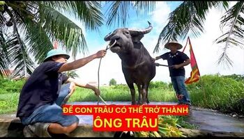 MỎ NEO NIỀM TIN CỦA NGƯỜI ĐỒ SƠN