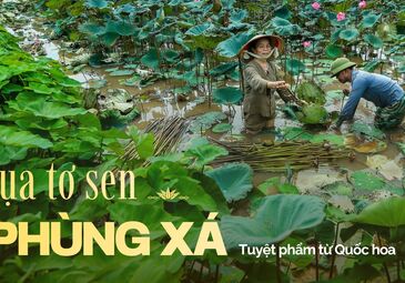 (HÀ NỘI) LỤA TƠ SEN PHÙNG XÁ: TUYỆT PHẨM TỪ QUỐC HOA