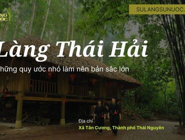 Five ways that can develop your business