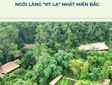 Five ways that can develop your business