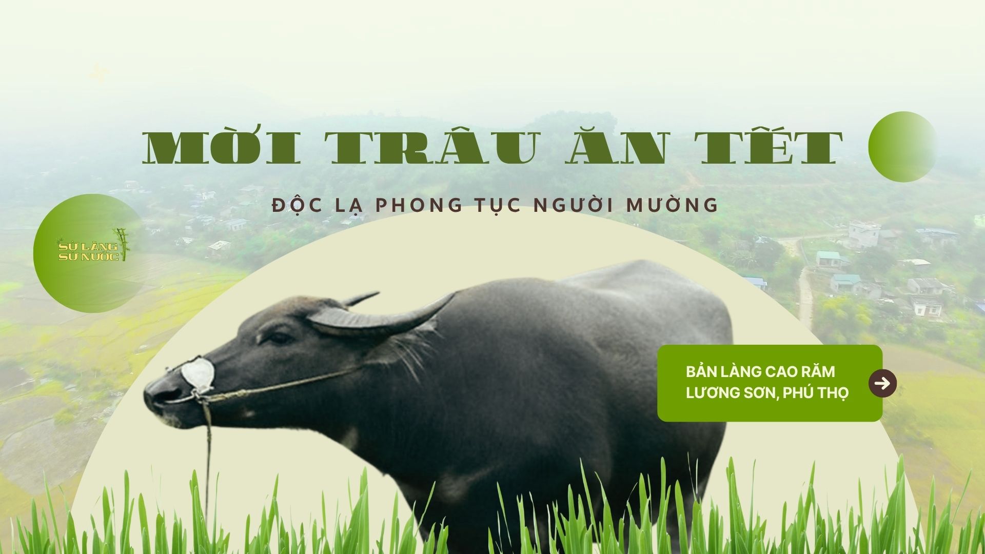 (PHÚ THỌ) GỌI VÍA TRÂU ĂN TẾT - ĐỘC LẠ PHONG TỤC VĂN HOÁ NGƯỜI MƯỜNG Ở LƯƠNG SƠN