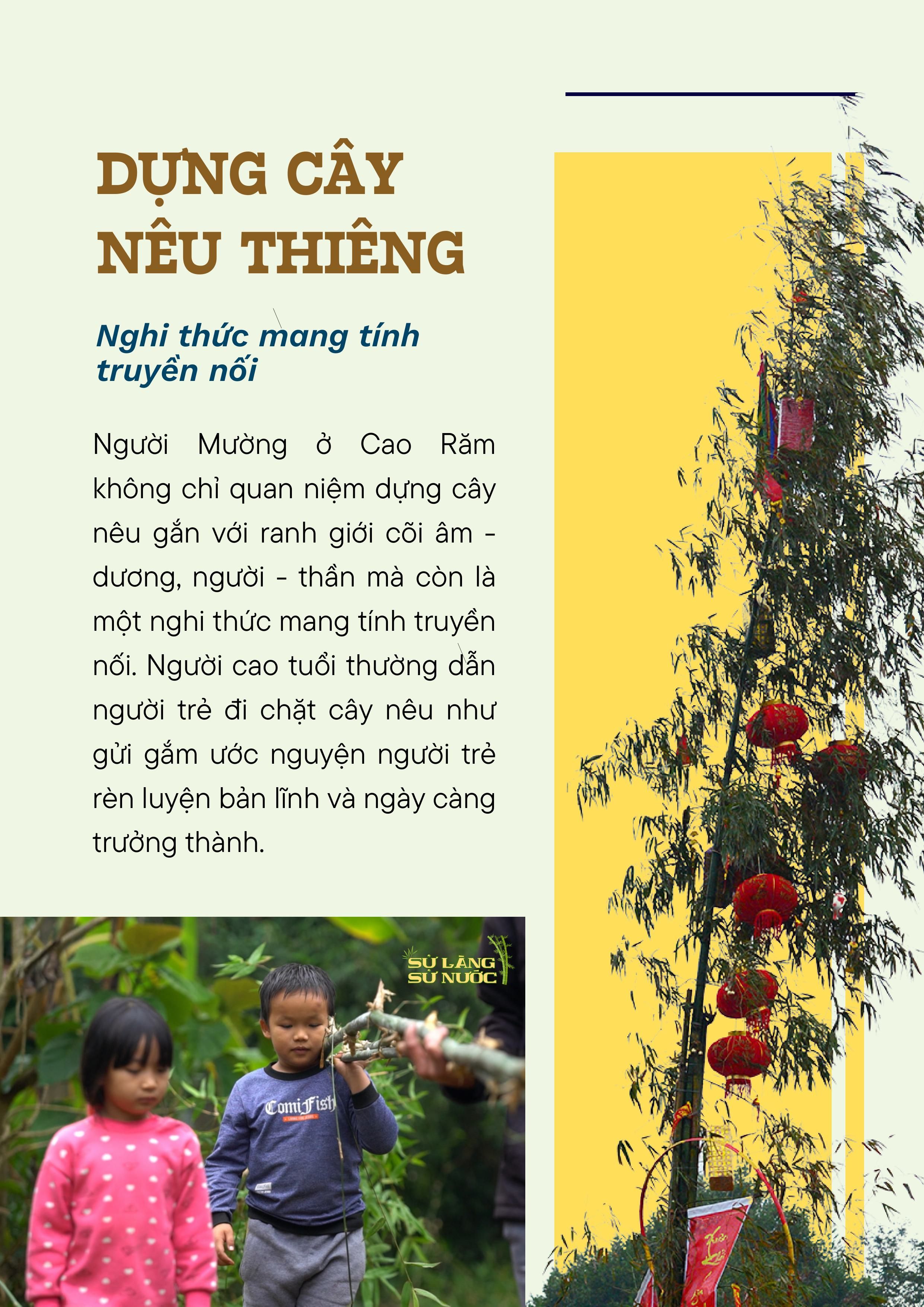 cao-ram_file-thiet-ke-hinh-anh-2