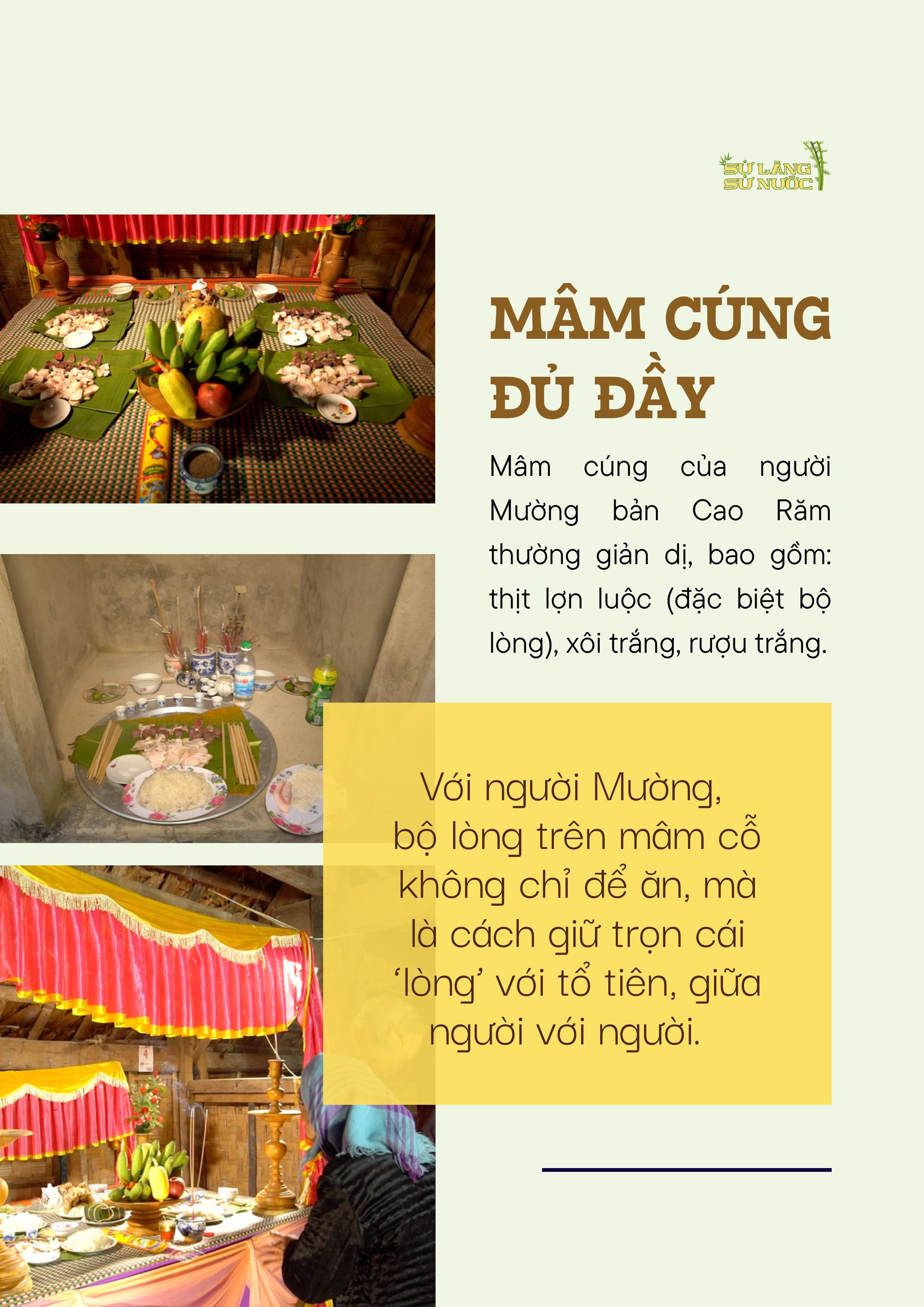 cao-ram_file-thiet-ke-hinh-anh-3