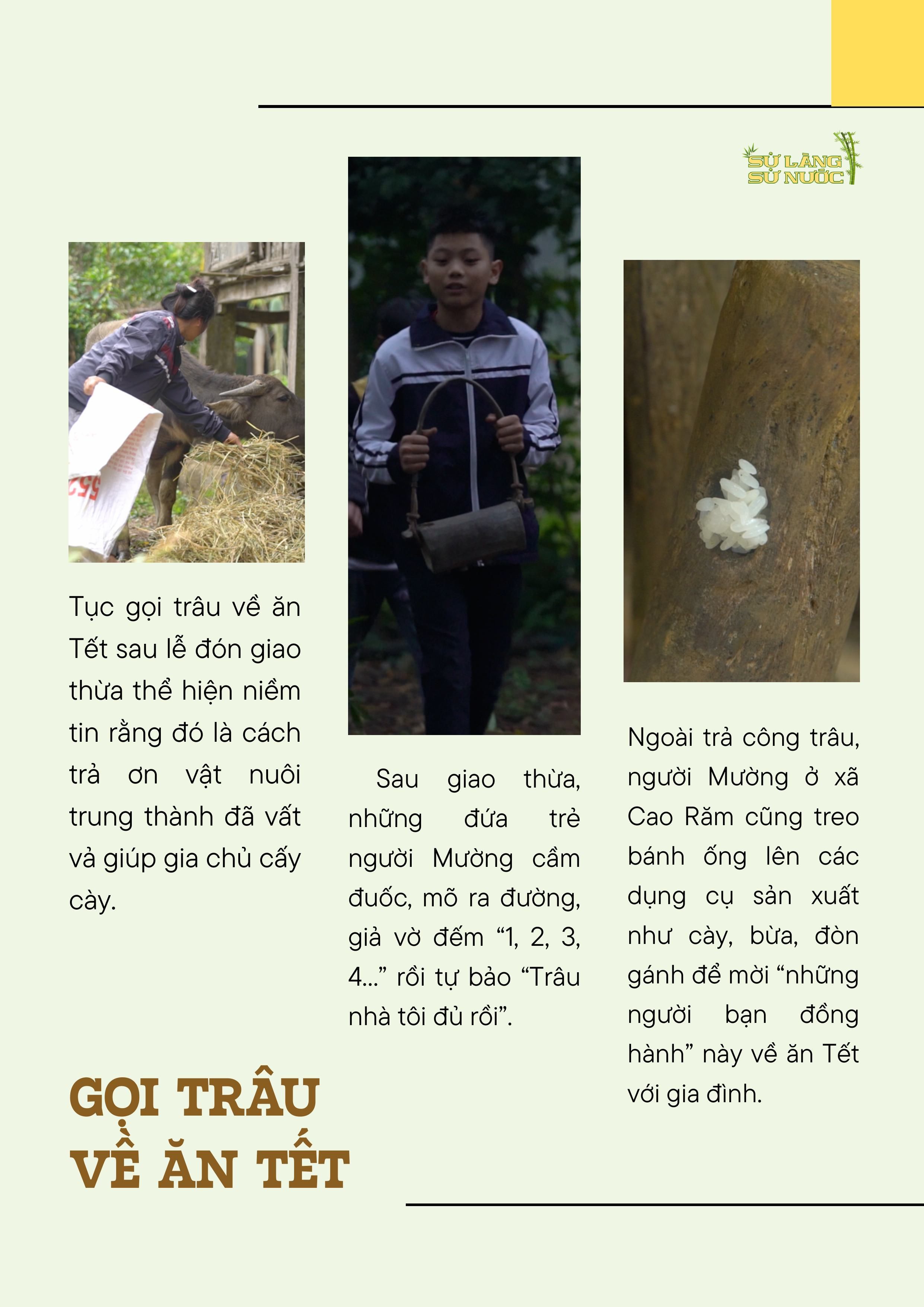 cao-ram_file-thiet-ke-hinh-anh-4
