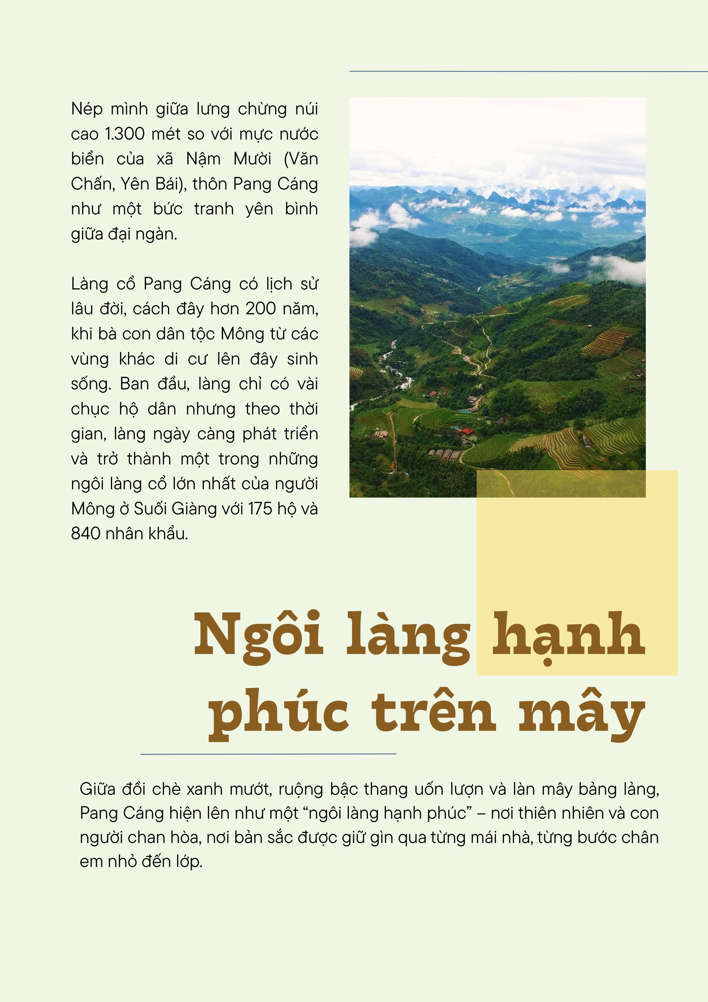pan-cang-hinh-anh-1