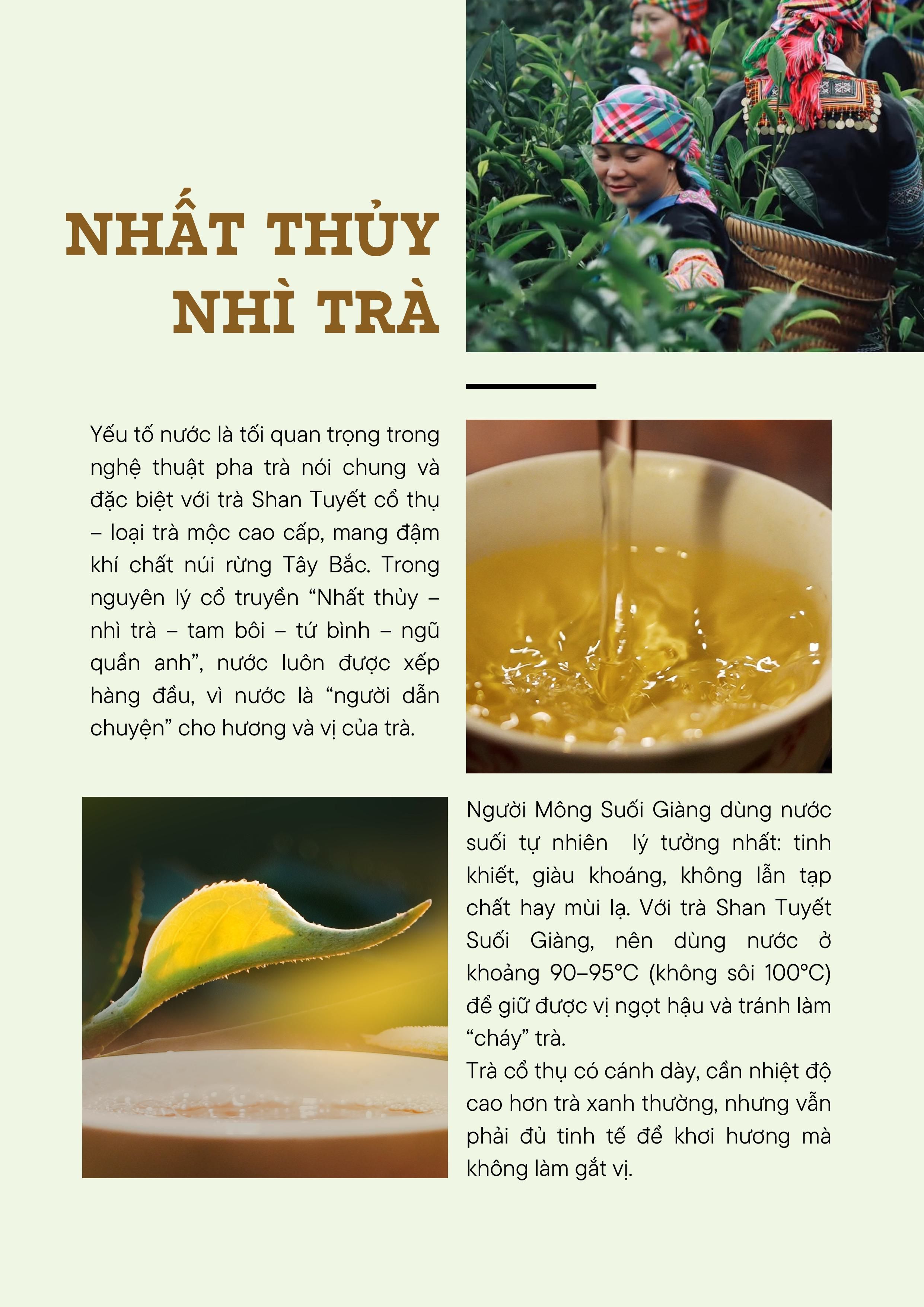 pan-cang-hinh-anh-3