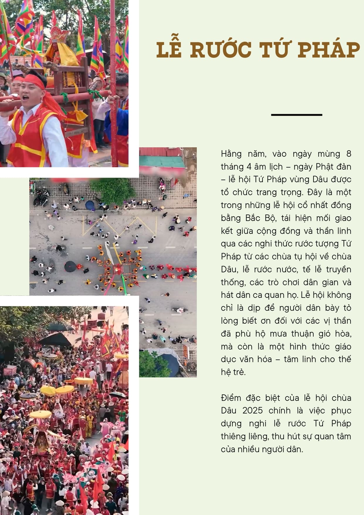vung-dau_page-0005