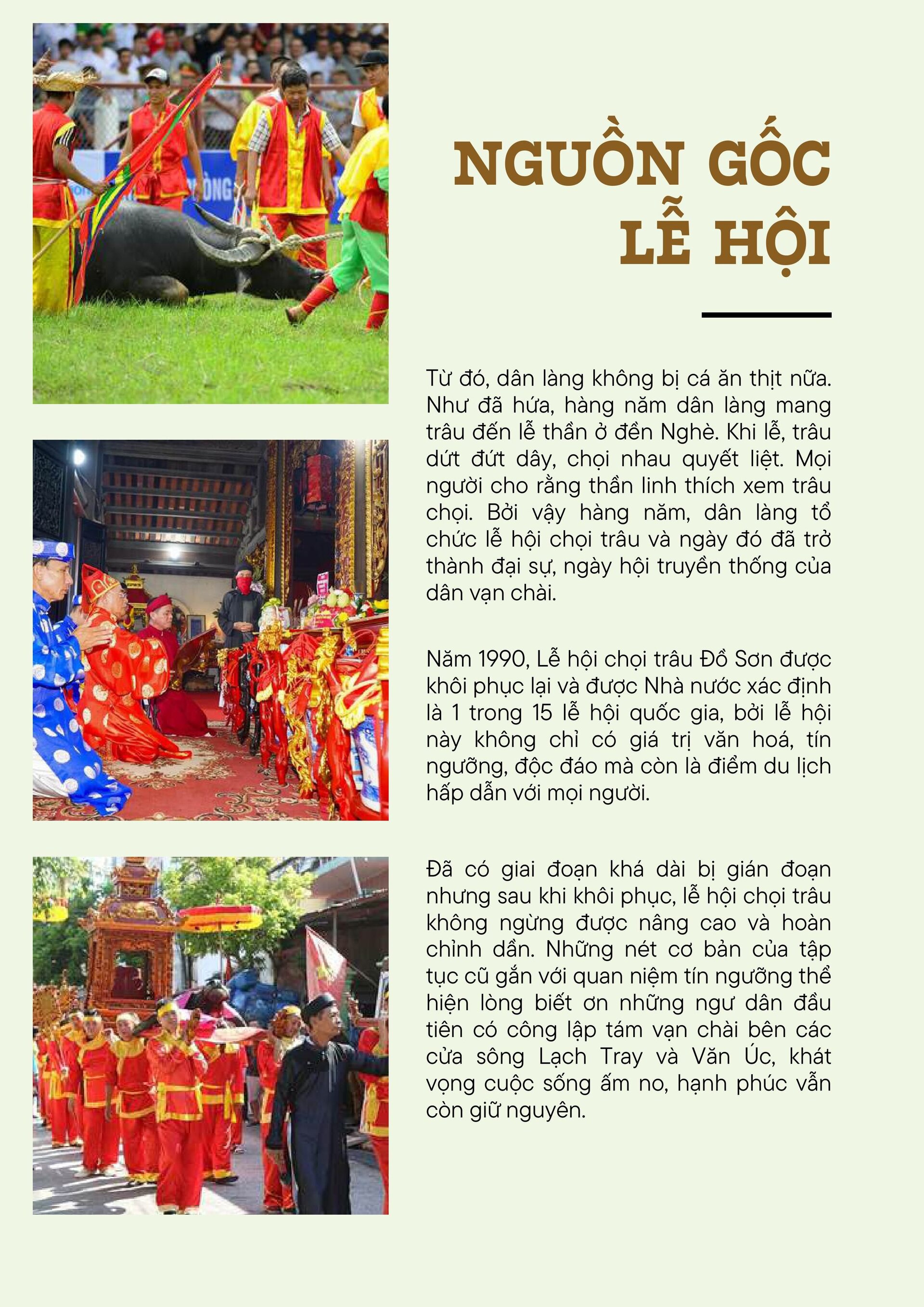 choi-trau-anh--text-da-nen-hinh-anh-2